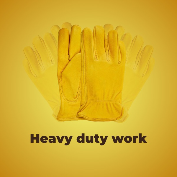 Manufacturing Facility